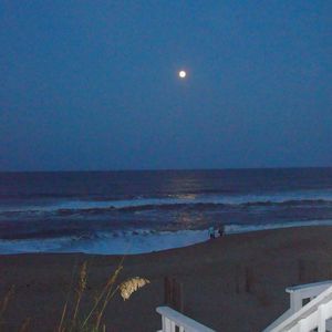 Meet your Posher, Joanne